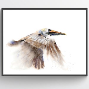 Brown Pelican Watercolor Art Print - Wildlife Nursery Decor - Beach House Wall Art - Giclee Painting Gift Idea - Direct from Artist,
