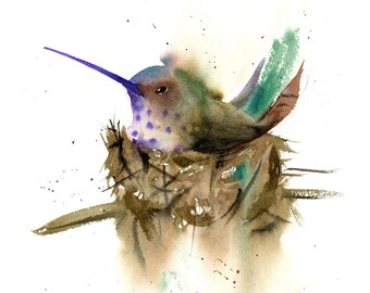 Stampa ad acquerello di un colibrì nel suo nido: opera d'arte giclée