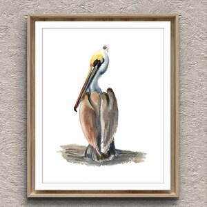 Pelican Art Print, Wading Bird  Painting Wall Art Decor, Watercolor Pelican Artwork, Nature Wall Art Gift Idea, Brown Pelican Giclee Print