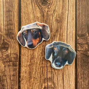 Custom Pet Photo X-Ray Marker!