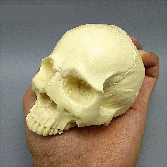 Silicone Flower Skull Mould 3D Fondant Cake Resin Mold Chocolate Candle Skeleton Silicone Flower Skull Mould 3D Fondant Cake Resin Mold Chocolate Candle Skeleton