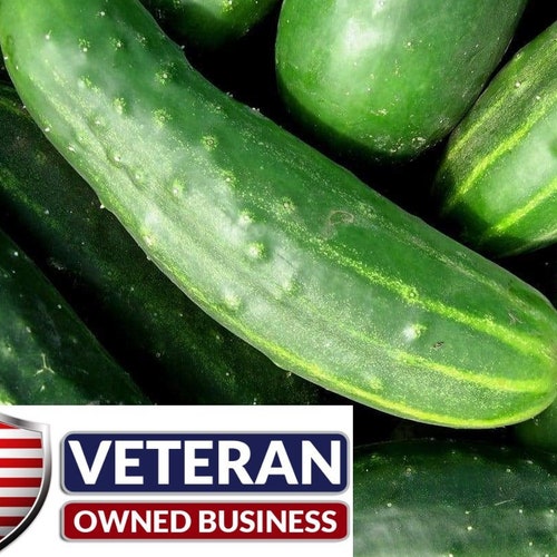 Семена Овощей Без Гмо Купить