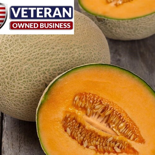 Cantaloupe Hales Best Jumbo 100 Heirloom Fruit Seeds Etsy