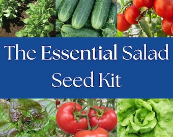 The essential salad seed collection 6 types of seed included Arugula Cucumber Tomatoes Bronze and Bibb Lettuce seeds