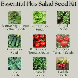 The Essential Plus Salad Seed Kit - 9 types of seed included in this collection