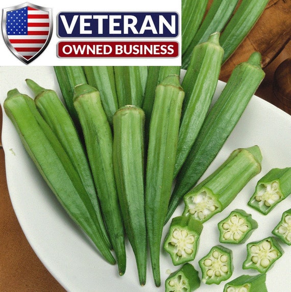 Okra Seed Clemson Spineless 60 Heirloom Vegetable Seeds Etsy