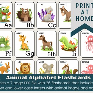 Animal Alphabet Flashcards for Toddlers and Preschoolers | ABC Flashcards | Preschool Letters Printable | Digital Download