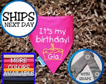 Personalized "It's my birthday!" Dog Bandana, Cat Bandana, Pet Bandana, Birthday Bandana, Snap on Bandana, Gift for Dogs, Gift for Cats