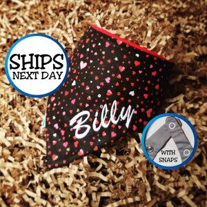 Personalized Dog Bandana with Red Heart Print, Cat Bandana, Pet Bandana, Dog Love Gift, Snap on Bandana, Valentine&#39;s Gift, Gift for Pets