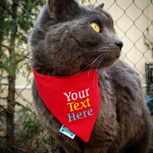 May include: A gray cat wearing a red bandana with the embroidered text "Your Text Here" in white, yellow, and blue. The bandana has a small white tag with the word "furrious" and a bone graphic. The cat is positioned in front of a chain-link fence.