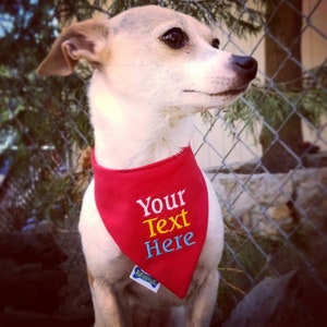 May include: A small dog wearing a red bandana with the embroidered text "Your Text Here" in white, yellow, and blue. The dog is light-colored with dark eyes and is positioned in front of a chain-link fence and greenery.
