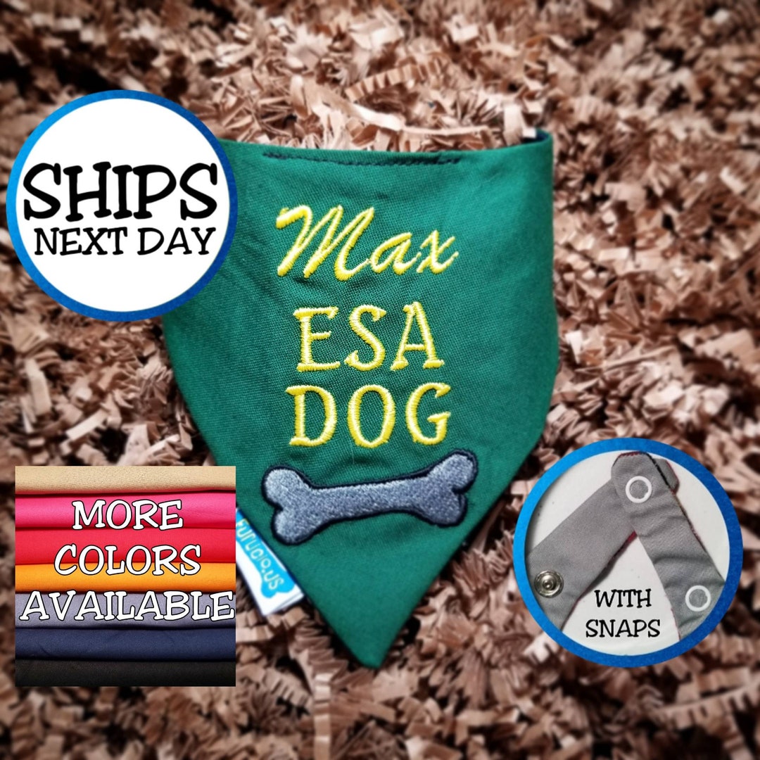 Personalized Emotional Support Animal Bandana, Dog Bandana, ESA Dog