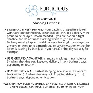 Puede incluir: Texto blanco sobre fondo blanco con las palabras "FURLICIOUS Art" y "&iexcl;IMPORTANTE! Opciones de env&iacute;o:" El texto describe las opciones de env&iacute;o, incluyendo est&aacute;ndar, USPS Ground Advantage y USPS Priority Mail.