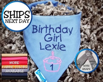 Personalized Dog Birthday Bandana for Girl Dog | Cat Bandana, Pet Bandana, Birthday Bandana, Snap on Bandana, Gift for Dogs, Gift for Cats