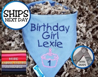 Personalized Dog Birthday Bandana for Girl Dog | Cat Bandana, Pet Bandana, Birthday Bandana, Snap on Bandana, Gift for Dogs, Gift for Cats