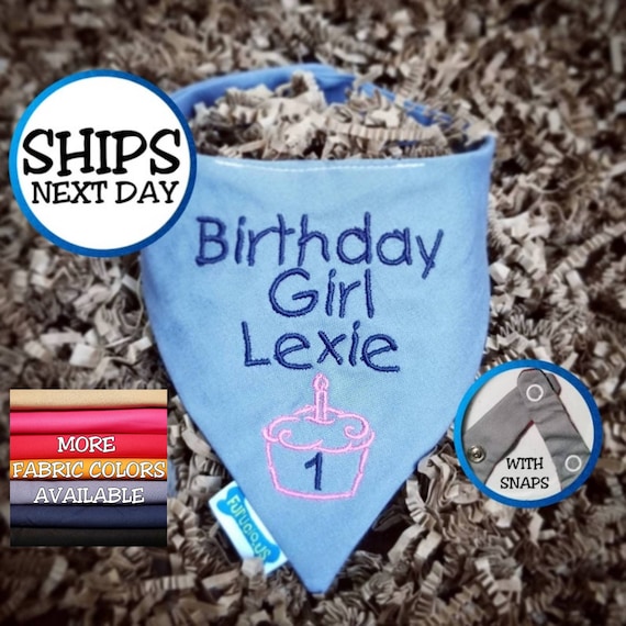 Personalized Dog Birthday Bandana for Girl Dog | Cat Bandana, Pet Bandana, Birthday Bandana, Snap on Bandana, Gift for Dogs, Gift for Cats