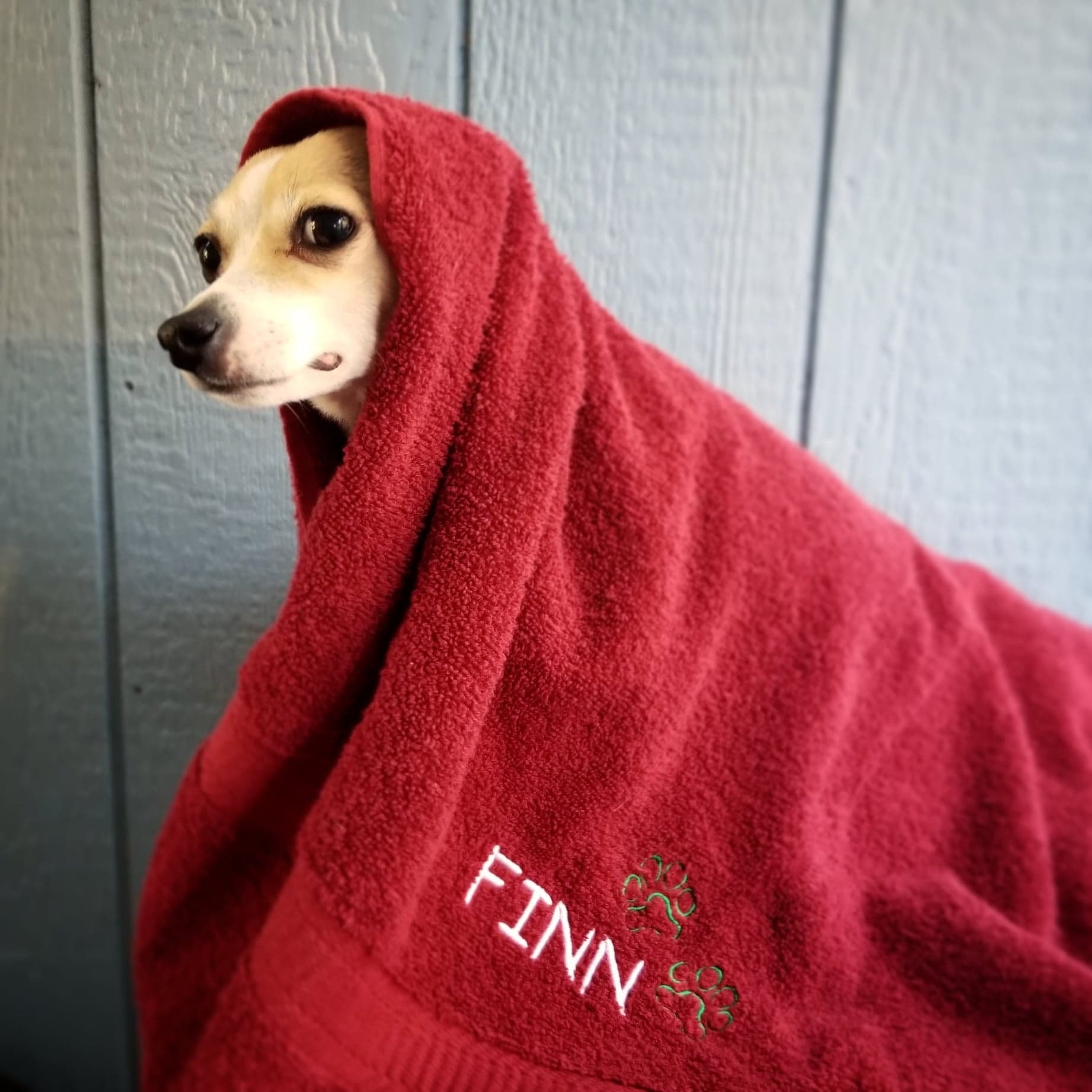 Personalized Dog Bath Towel With Paw Design Embroidered Etsy