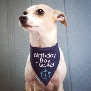 May include: A small dog wearing a navy blue bandana embroidered with "Birthday Boy Tucker" in white script. A teal cupcake with a candle and the number "1" is embroidered below the name. The dog has light brown and white fur.