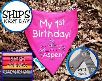 Personalized "My First Birthday" Dog Bandana, Cat Bandana, Pet Bandana, Birthday Bandana, Snap on Bandana,  Gift for Dogs, Gift for Cats