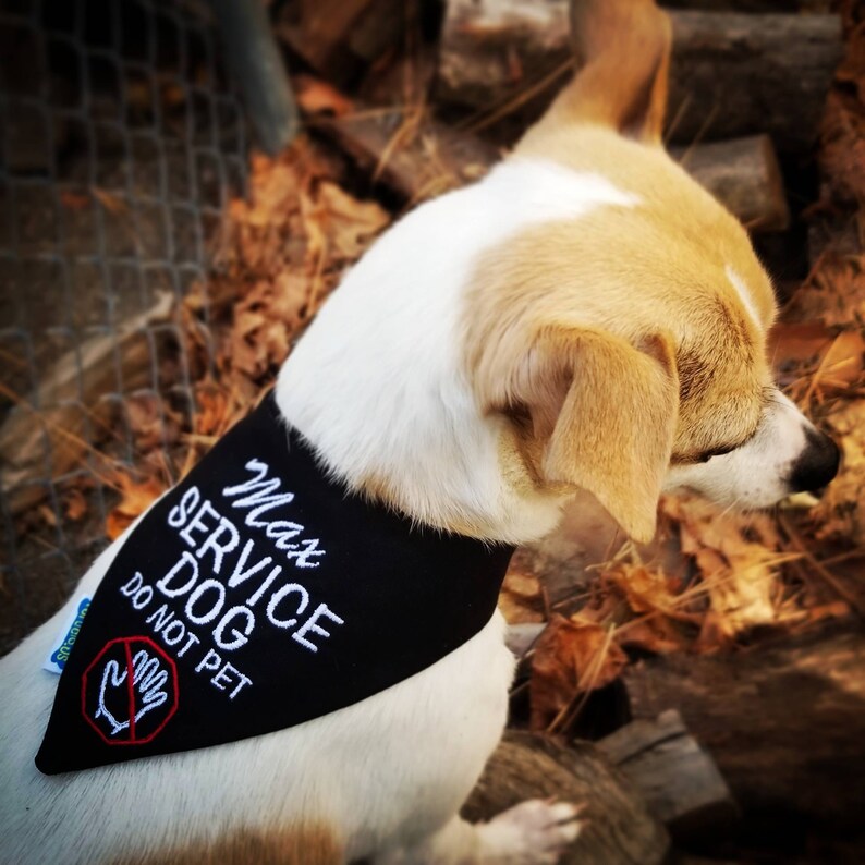 Personalized Service Dog Bandana DO NOT PET Puppy Bandana Etsy