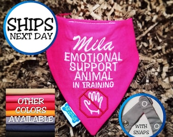 Personalized Emotional Support Dog Bandana | ESA Dog Bandana Identification