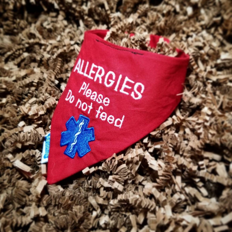 May include: A red dog bandana with white embroidered text that reads "ALLERGIES Please Do not feed." A blue medical symbol is embroidered below the text. The bandana is triangular and rests on a bed of brown paper.