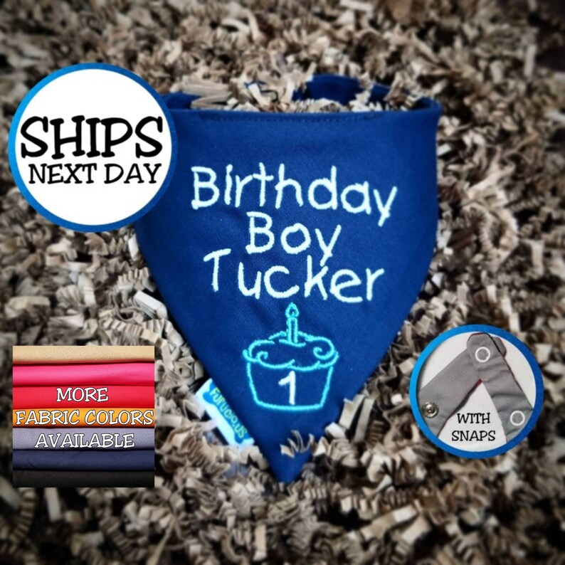 Personalized Dog Birthday Bandana Boy Dog 1st Birthday Etsy