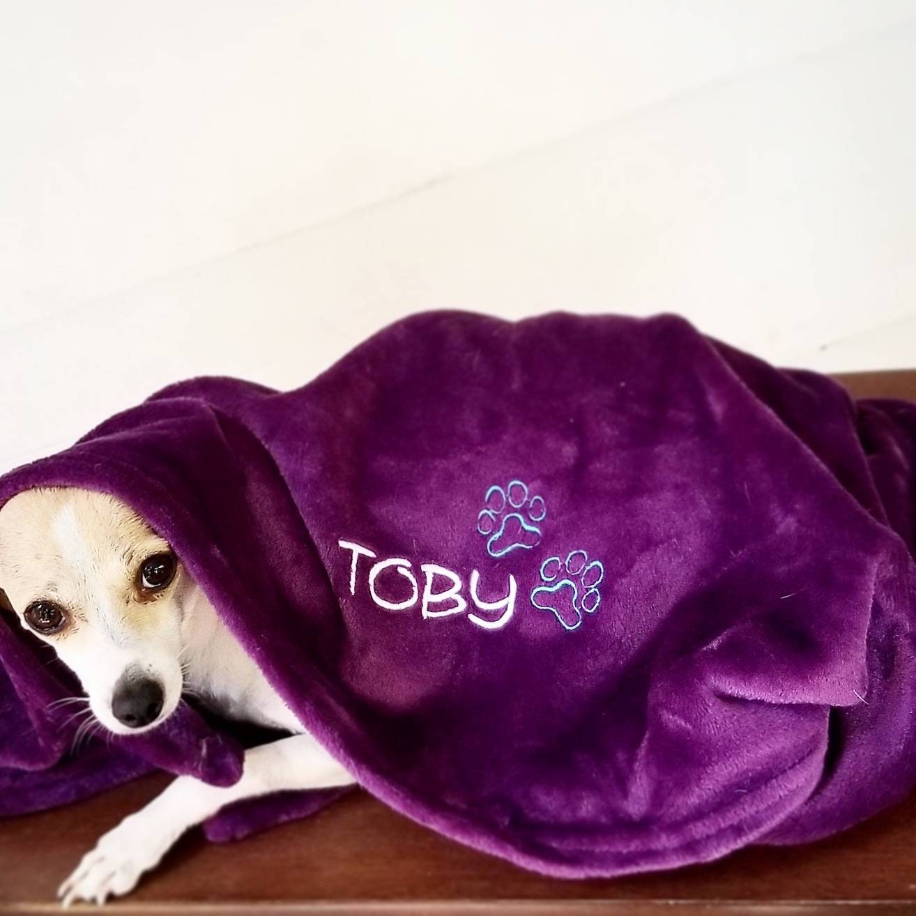 Personalized Dog Blanket with Paws Embroidered Blanket Puppy Etsy