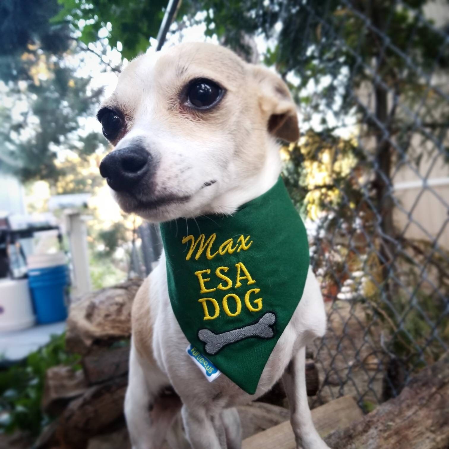 Personalized Emotional Support Animal Bandana Dog Bandana Etsy