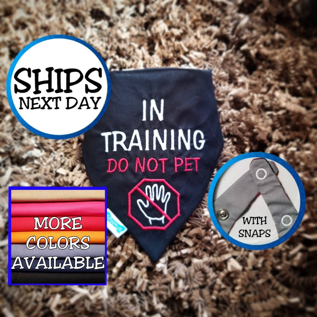 Personalized in Training Dog Bandana, Puppy Bandana, Pet Bandana