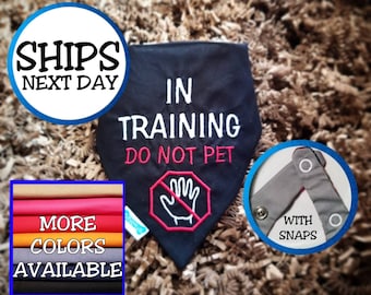 Personalized "IN TRAINING" Dog Bandana, Puppy Bandana, Pet Bandana, Working Dog Bandana, Snap on Bandana, Gift for Dogs In Training