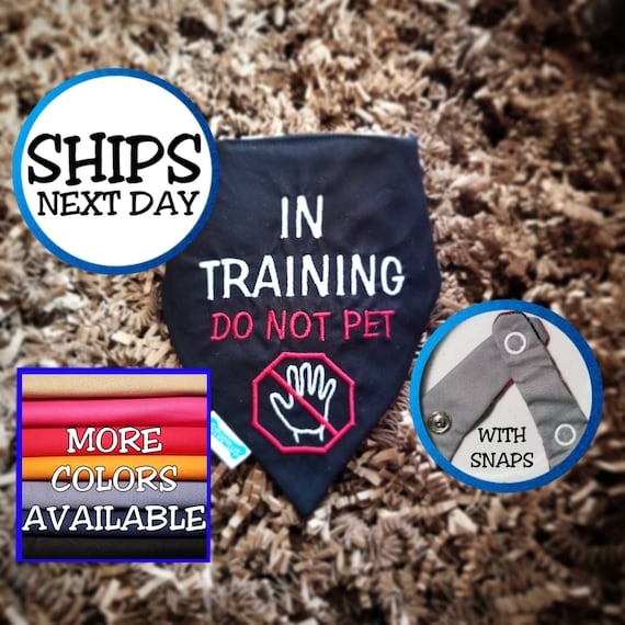 Personalized "IN TRAINING" Dog Bandana, Puppy Bandana, Pet Bandana, Working Dog Bandana, Snap on Bandana, Gift for Dogs In Training