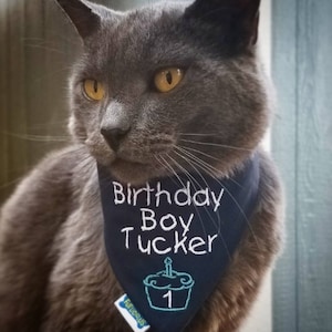 May include: A gray cat wearing a navy blue bandana embroidered with "Birthday Boy Tucker" and a cupcake with a candle and the number "1". The cat has yellow eyes.