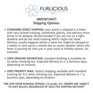 May include: White text on a white background with the words "FURLICIOUS Art" and "IMPORTANT! Shipping Options:" The text describes shipping options, including standard, USPS Ground Advantage, and USPS Priority Mail.
