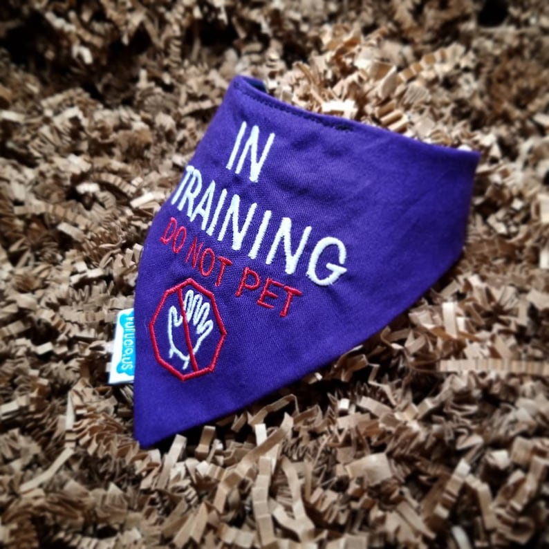 Puede incluir: Un pa&ntilde;uelo morado para perros con texto bordado en blanco que dice "IN TRAINING DO NOT PET". Un gr&aacute;fico de se&ntilde;al de stop roja y blanca con una mano tambi&eacute;n est&aacute; bordado en el pa&ntilde;uelo. Una peque&ntilde;a etiqueta azul y blanca est&aacute; adjunta.