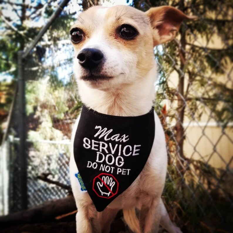 Personalized Service Dog Bandana DO NOT PET Puppy Bandana Etsy