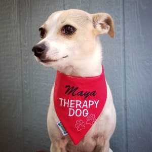 May include: A small, light-colored dog wearing a red bandana. The bandana has the name "Maya" in cursive, the words "THERAPY DOG" in capital letters, and paw prints. The dog is looking to the side.