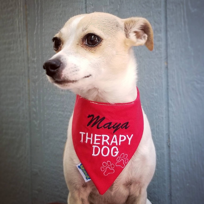 May include: A small, light-colored dog wearing a red bandana. The bandana has the name "Maya" in cursive, the words "THERAPY DOG" in capital letters, and paw prints. The dog is looking to the side.