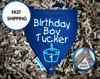 Pañuelo personalizado de cumpleaños para perros: bordado, tela de algodón, cierre a presión.