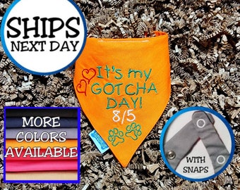 Personalized Dog Bandana with Gotcha Day Design | Dog Adoption Day Bandana, Gotcha Day Bandana, Snap on Bandana
