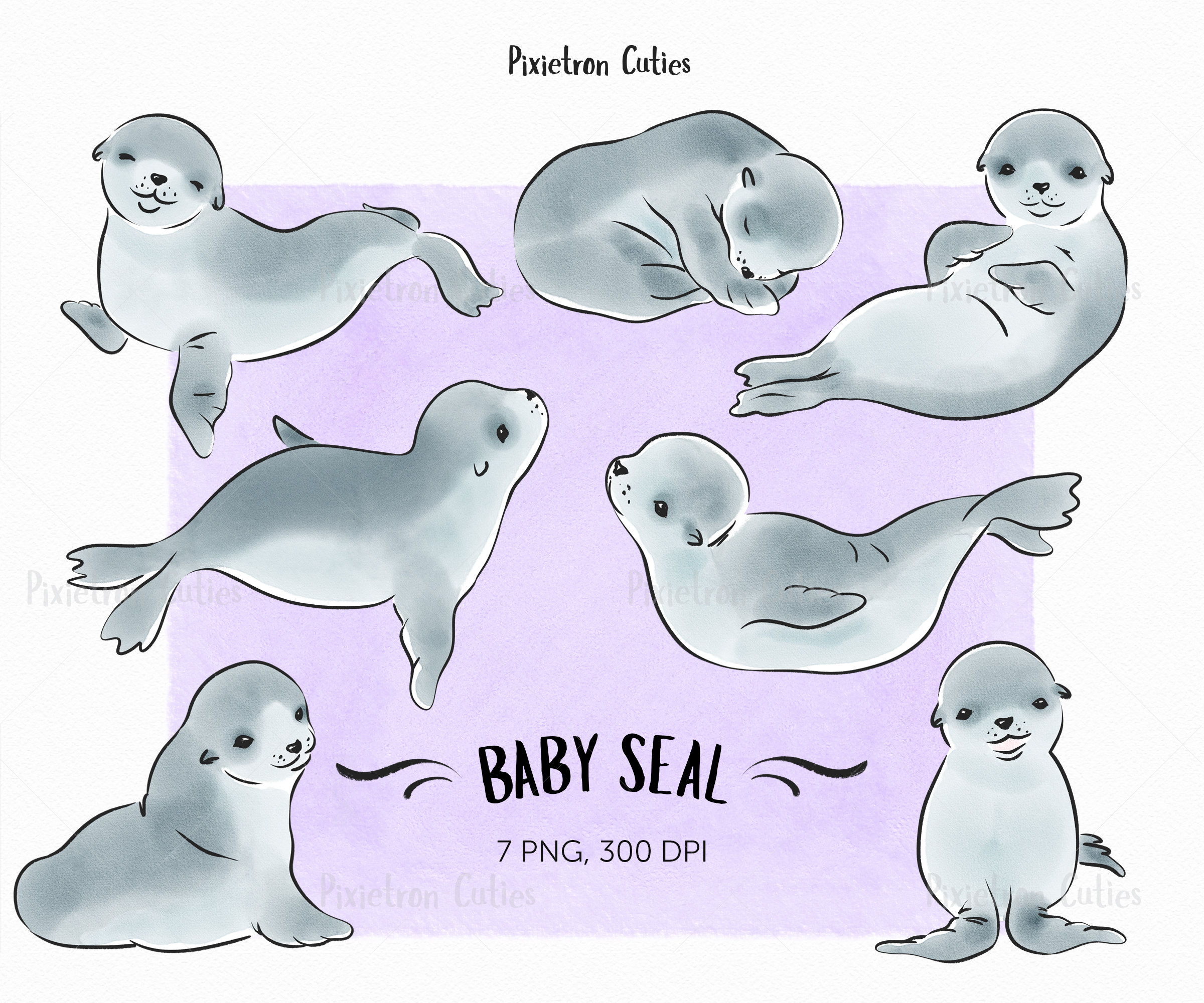 Cute Seal Seal Clipart Stickers Clipart Watercolor Clipart Etsy