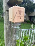 Simple Carpenter Bee Trap