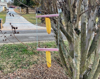 Wacky Squirrel Swing Feeder