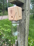 Wooden Carpenter Bee Trap: Eco-Friendly, Odor-Free Pest Control Solution