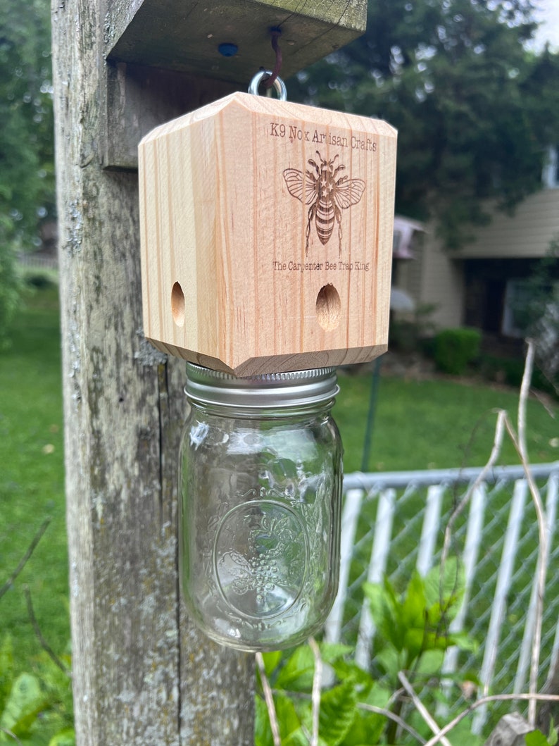 Best Carpenter Bee Trap zdjęcie 3