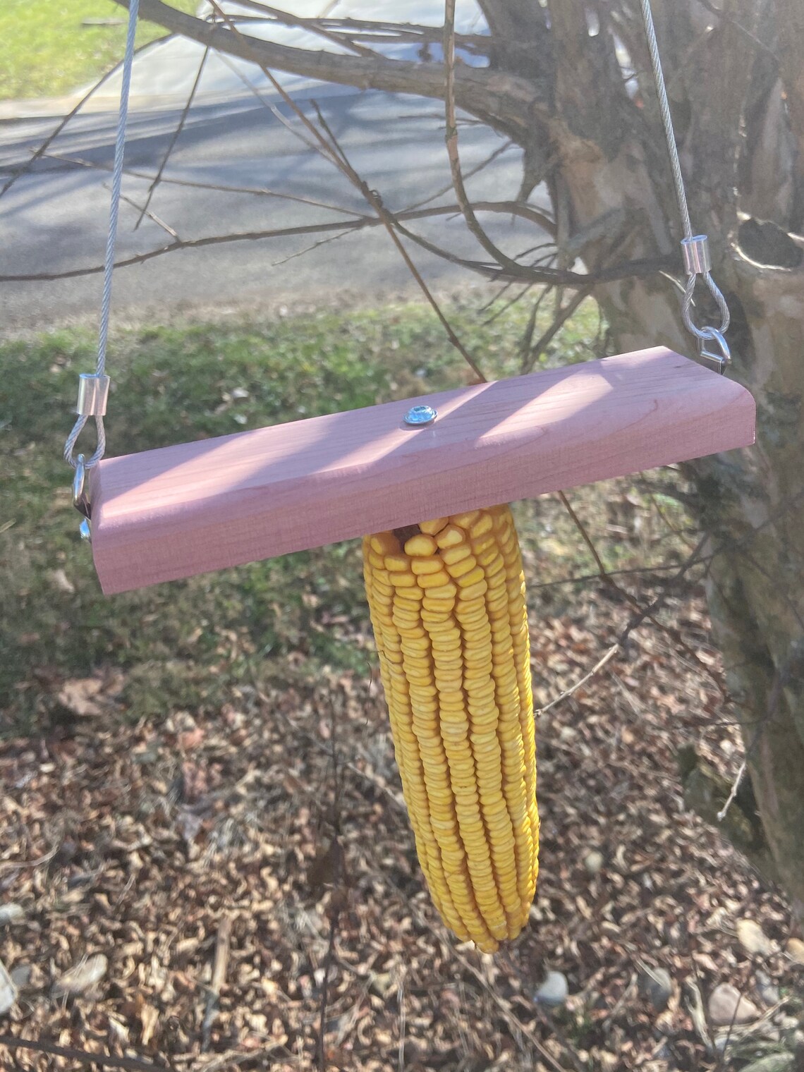 Wacky Squirrel Swing Feeder Etsy