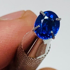 1.25 Karaat 100% Natuurlijke Royal Blue Sapphire Edelsteen uit Sri Lanka - Geslepen en Gepolijste Losse Edelsteen