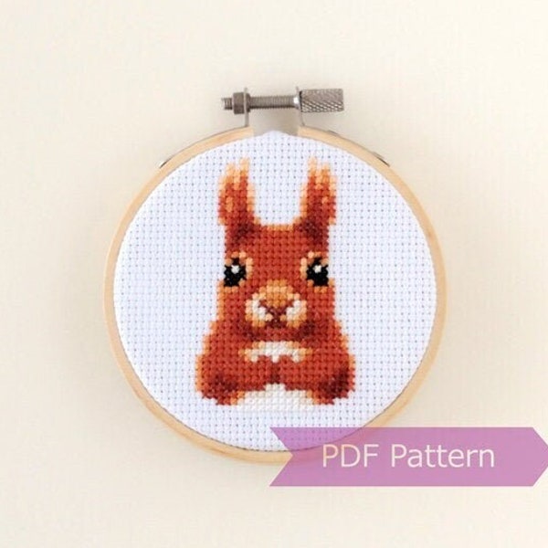 Red Squirrel cross stitch pattern PDF - Red Squirrel embroidery PDF - Instant download - Small