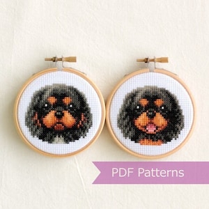 Black and Tan Cavalier King Charles Spaniels PDF bundle - Cavalier King Charles Spaniels Black + Tan embroidery - Instant download - Small