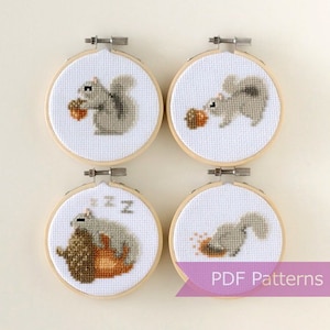Gray Squirrel cross stitch PDF bundle - Set of 4 gray squirrels - Instant download - Small